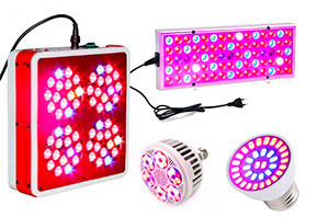 LED фитолампы