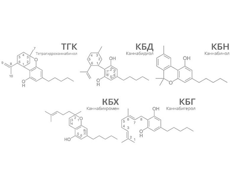 Каннабиноиды