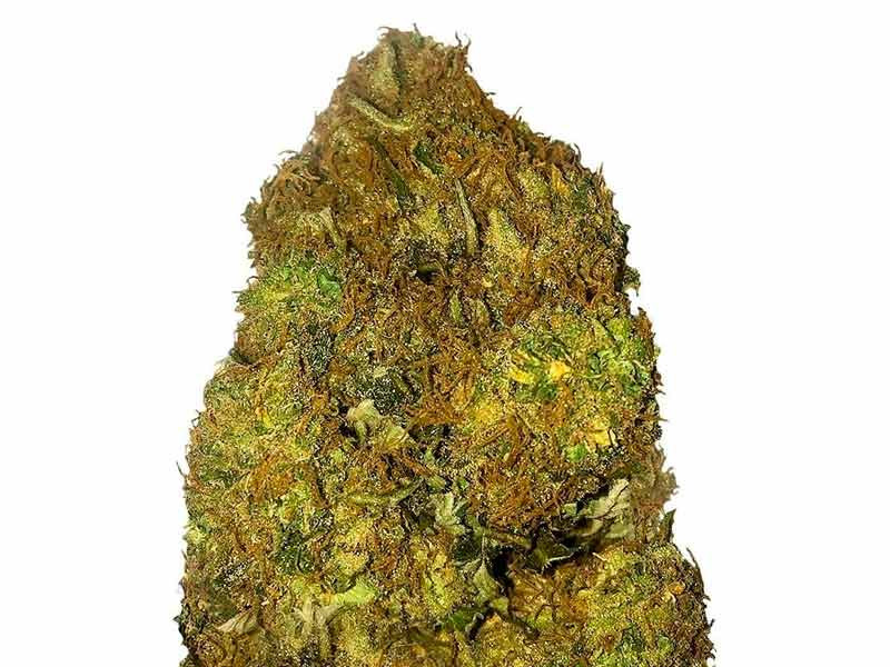 Skunky Monkey Auto fem от «Heavyweight Seeds»